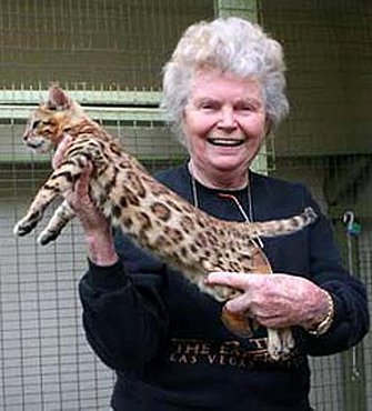 Джейн Милл и бенгальская кошка